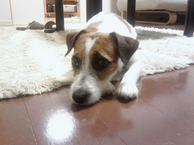 201001212137000.jpg