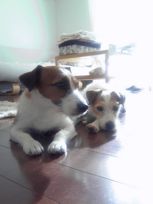 201001220928001.jpg