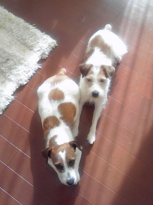 201001220929000.jpg
