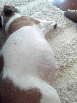 201001221202000.jpg