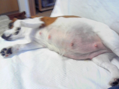 201001231617000.jpg