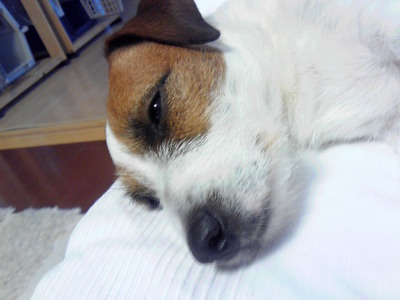 201001231617001.jpg