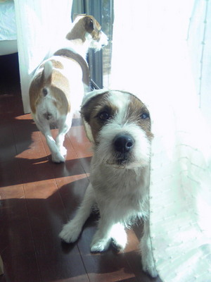 201001241102001.jpg