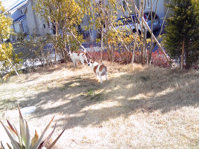 201001241229000.jpg
