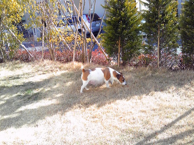 201001241229001.jpg