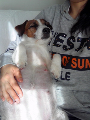 201001241355000.jpg