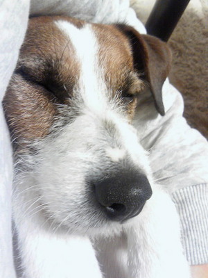 201001271723001.jpg