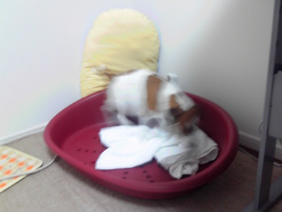201001272309001.jpg