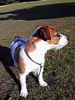 2010010702.jpg
