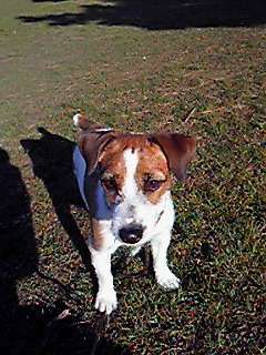 2010010703.jpg