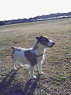 2010010704.jpg