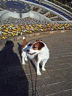 2010010705.jpg