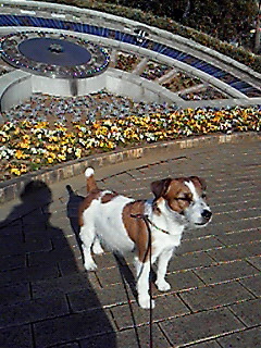 2010010706.jpg