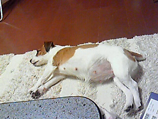 201001071905000.jpg