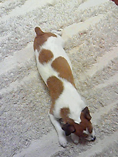 201001101913000.jpg