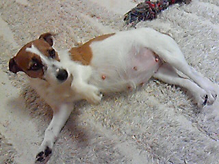 201001101914000.jpg