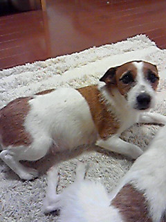201001121815000.jpg