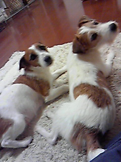 201001121815001.jpg