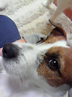 201001132328000.jpg
