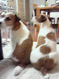 201001132330002.jpg