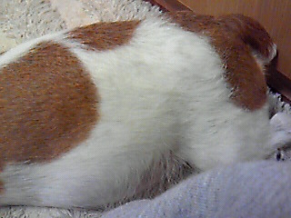 201001150015000.jpg