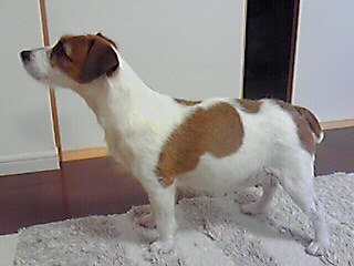 201001160137000.jpg