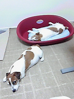 201001170249000.jpg