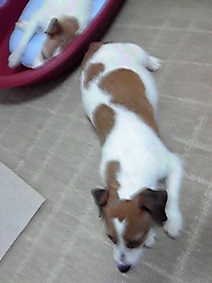 201001170251000.jpg
