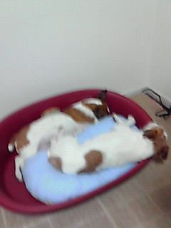 201001170324000.jpg
