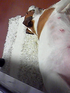 201001181943000.jpg