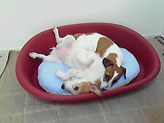 201001200818000.jpg