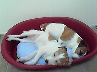 201001200828000.jpg
