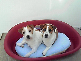 201001200853000.jpg