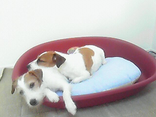 201001200856001.jpg
